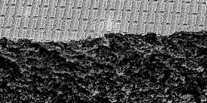 Membrane Science and technology