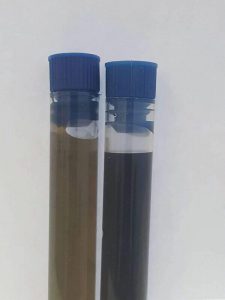 Suspensions of 1T-2H and 2H MoS2 nanosheets